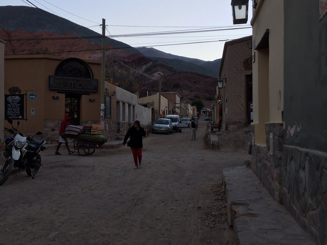 El Viejo Algarrobo主图