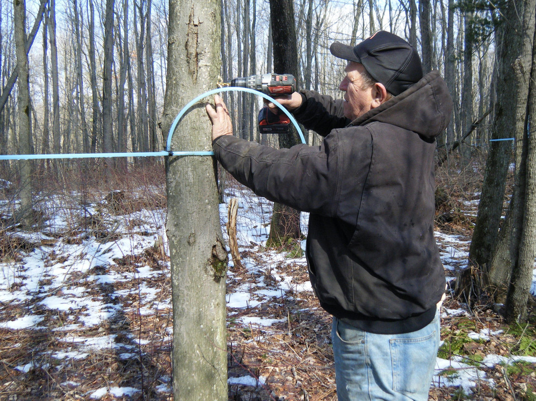Brantview Farms Maple-Berlin必去景点
