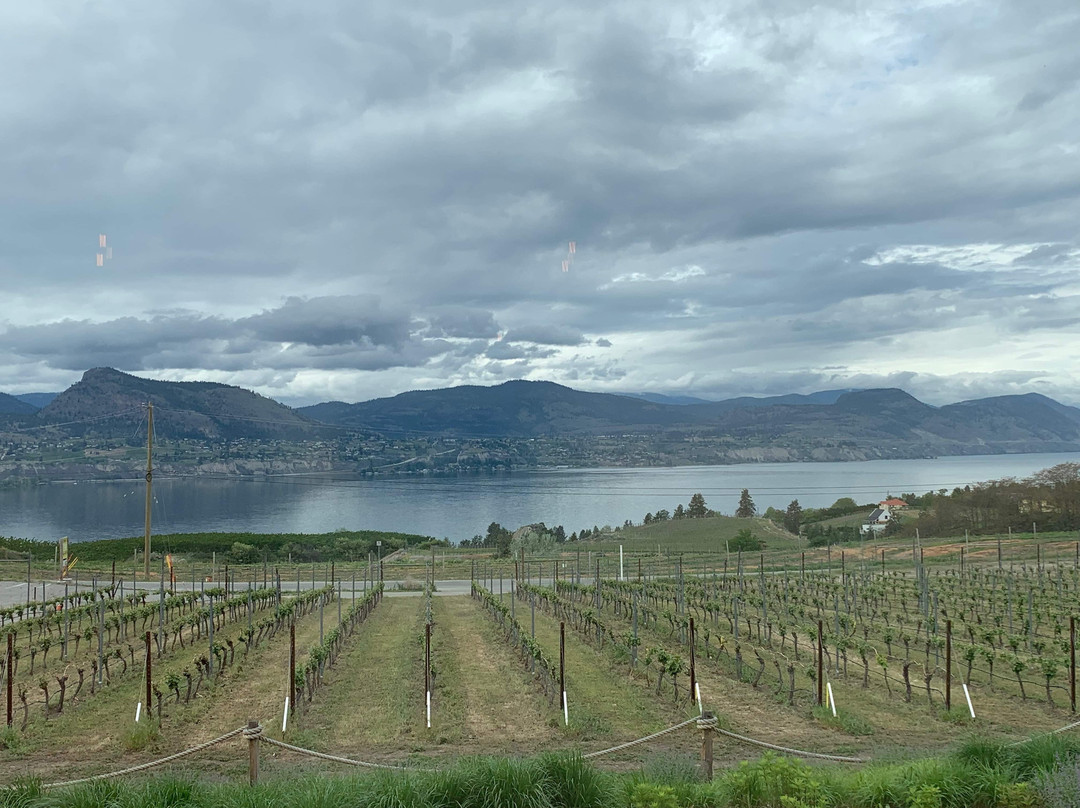 Joiefarm Winery景点图片