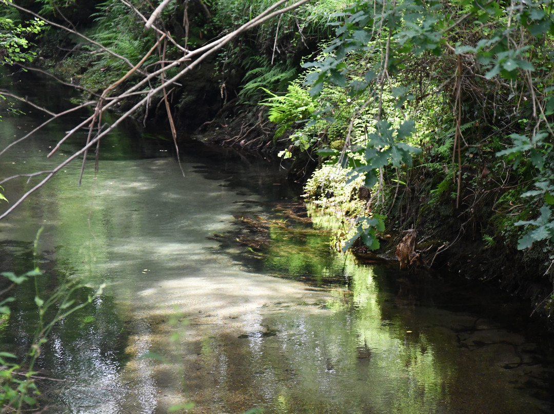 Lagoas de Bertiandos e S. Pedro de Arcos-蓬蒂－迪利马必去景点