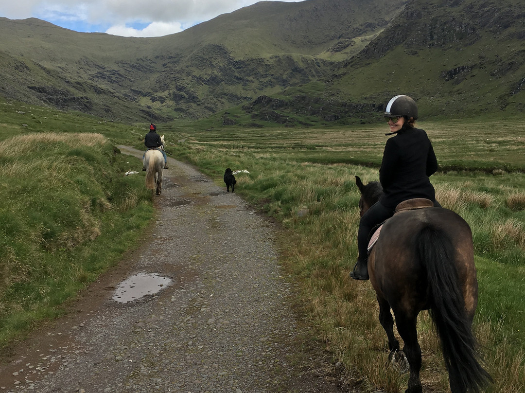 Sea View Equestrian-Ballydavid必去景点