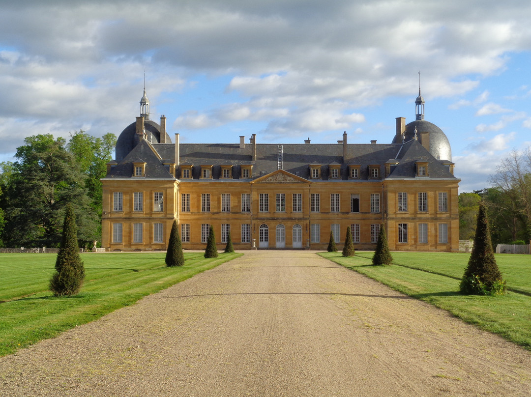 Chateau de Digoine景点图片