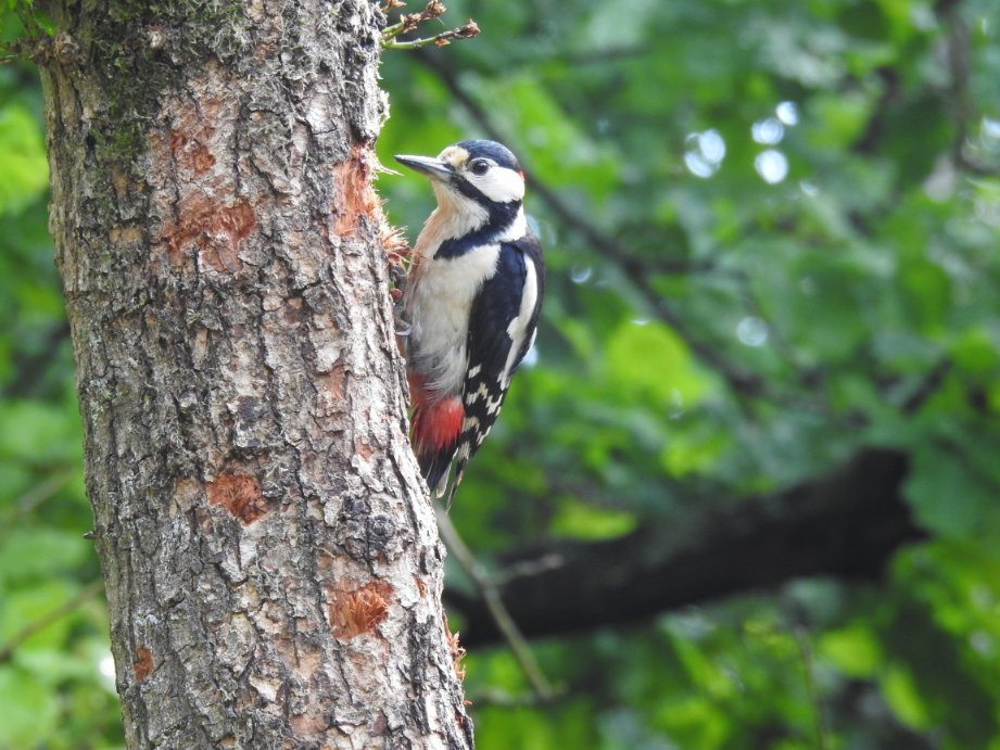 Viva la Veluwe Bed & Breakfast主图