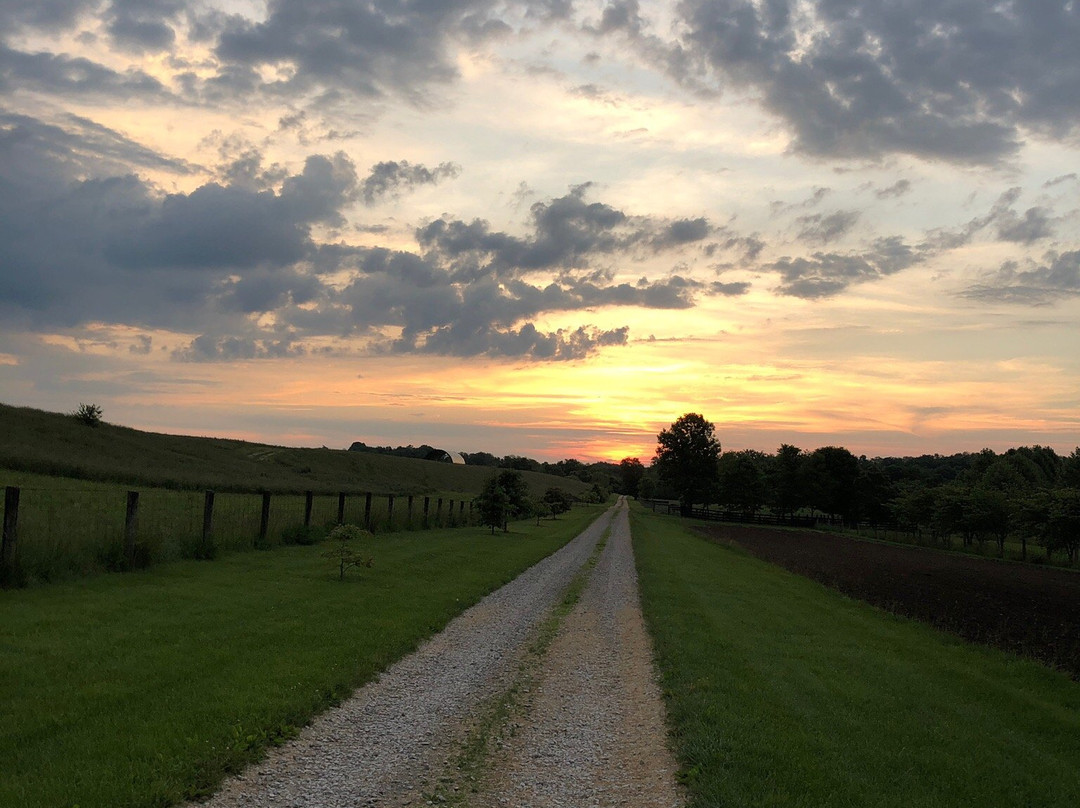 Fairfield Farm Cottage主图