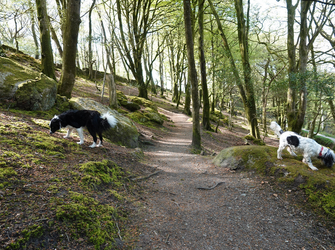 Luxulyan Valley to Prideaux Circular Walk-St Blazey必去景点