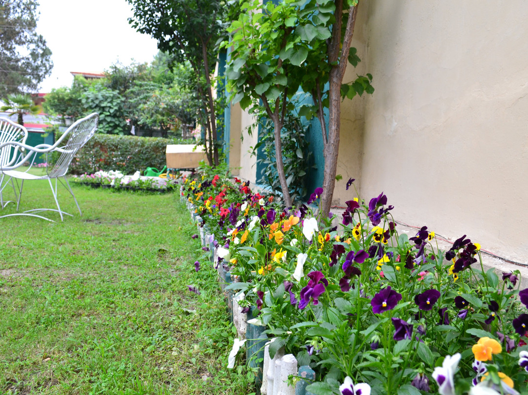 West End Family Homestay主图