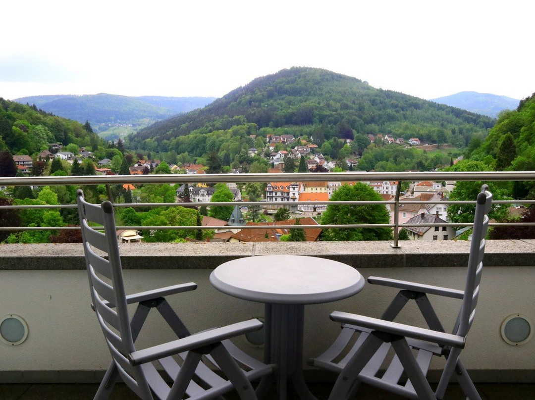 黑森林全景酒店主图