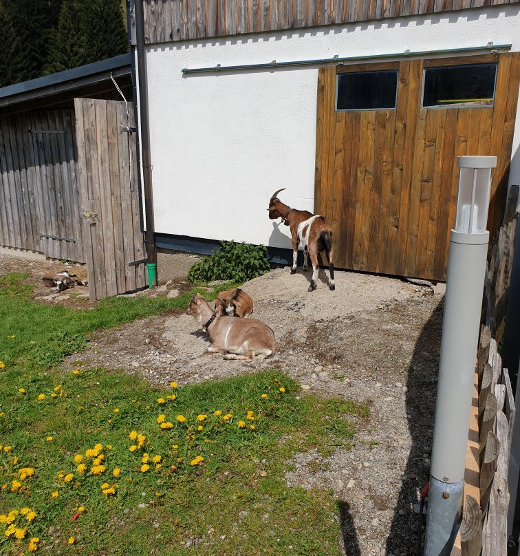 Berggasthof Hochbühl主图