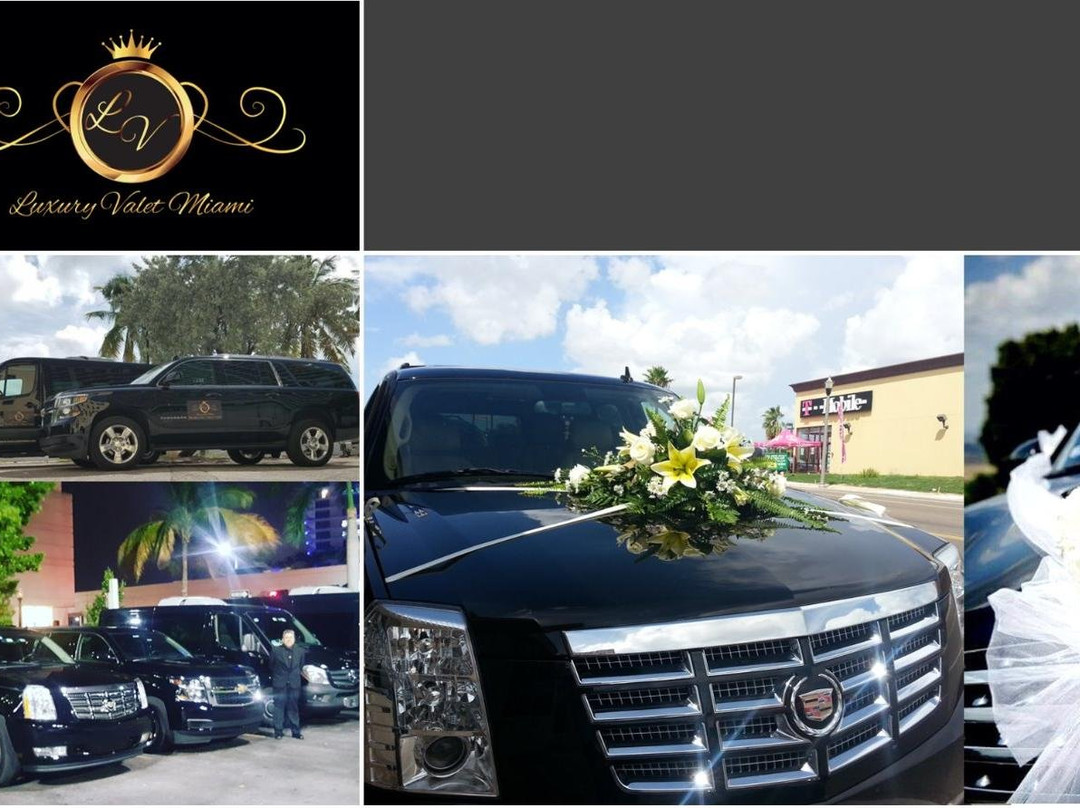 Luxury Transportation and Valet Miami-佛罗里达城必去景点