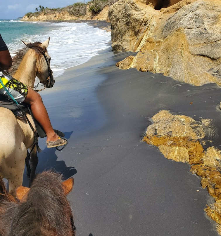 Jurutungo Farm-Florida必去景点