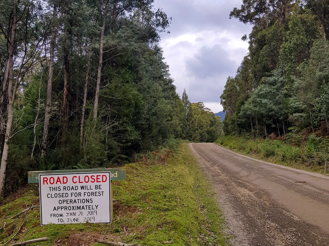 Styx Valley-Maydena必去景点