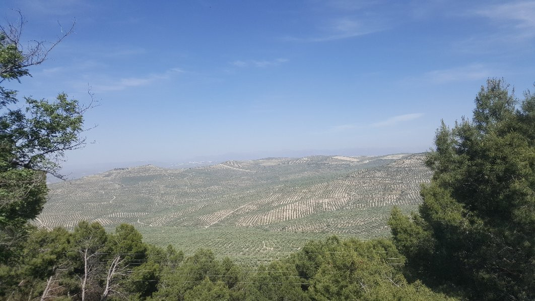 Palacio Las Manillas主图