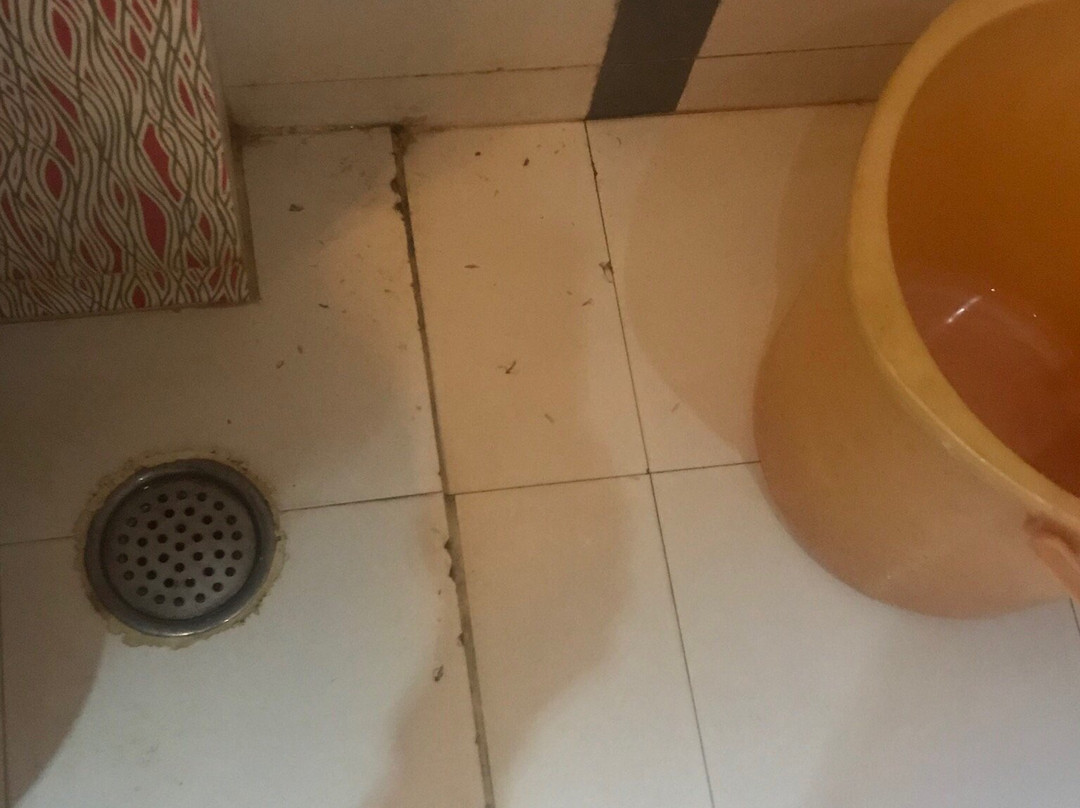 Hotel Athidhi Grand主图