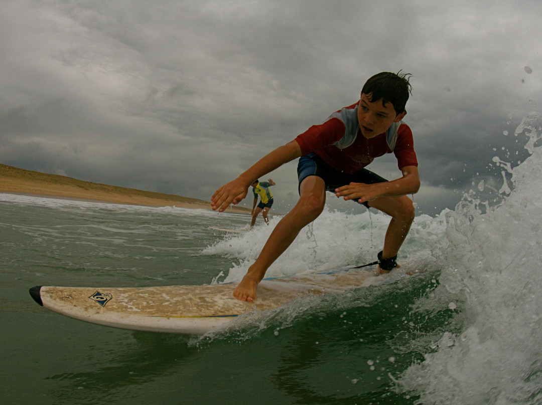 One Palm école de surf/surfshop景点图片