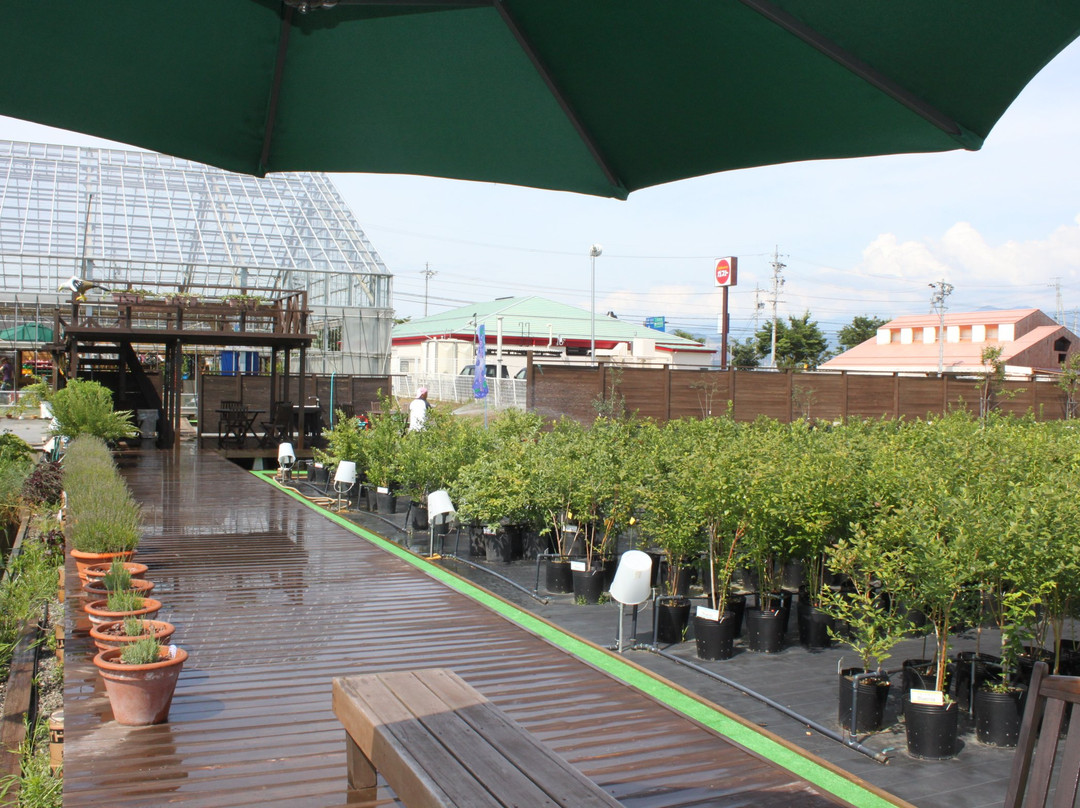Morinohatake The Blueberry Farm-须坂市必去景点