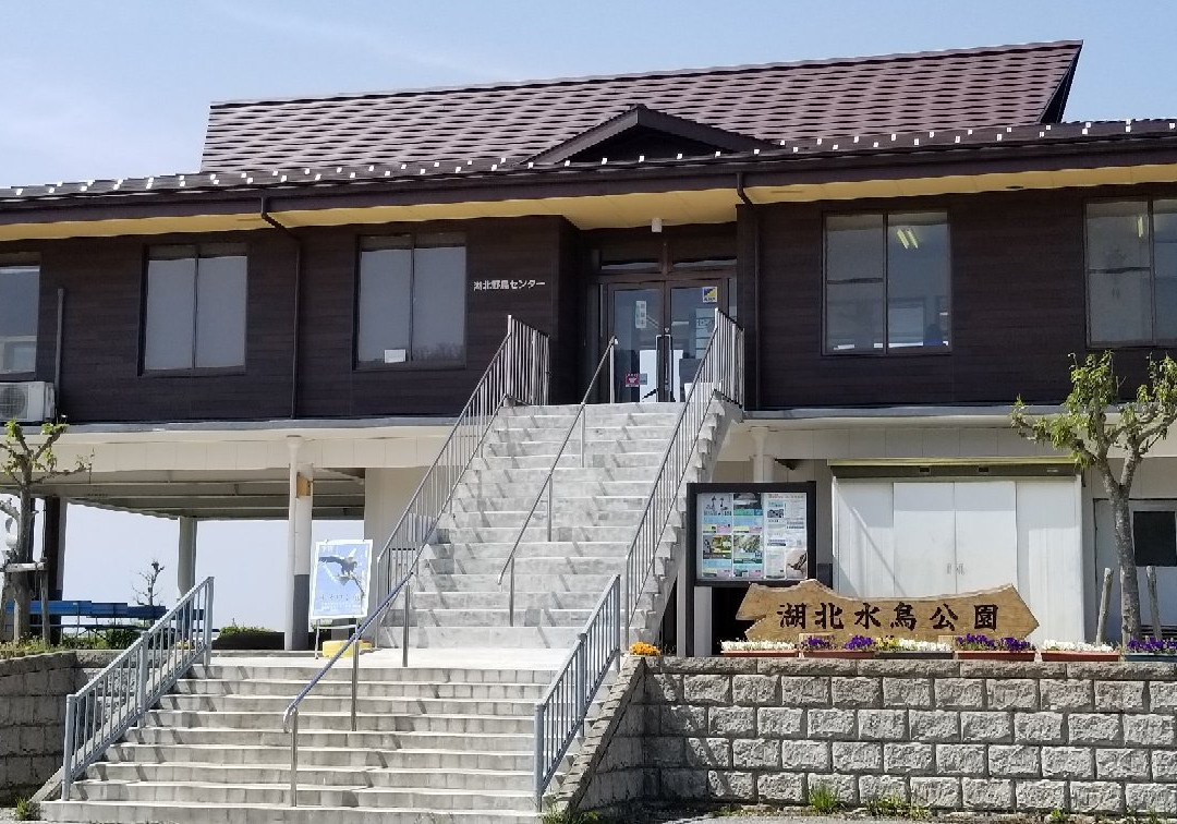 Biwako Waterfowl Wetland Center-长滨市必去景点