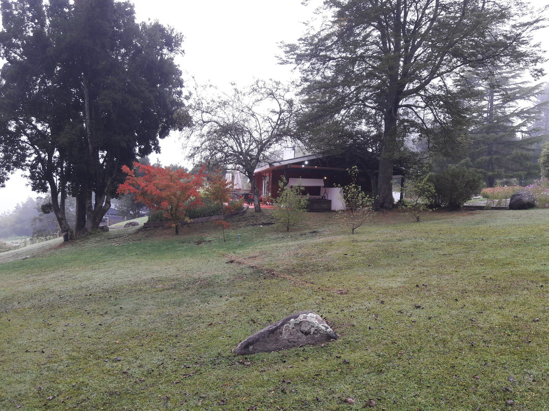 Hotel y Cabanas El Parque主图