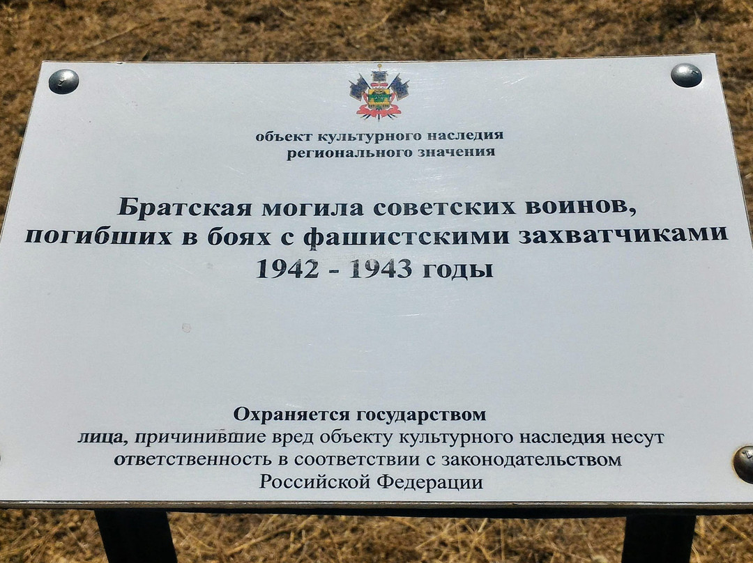 Memorial - Cemetery of Soviet Soldiers景点图片