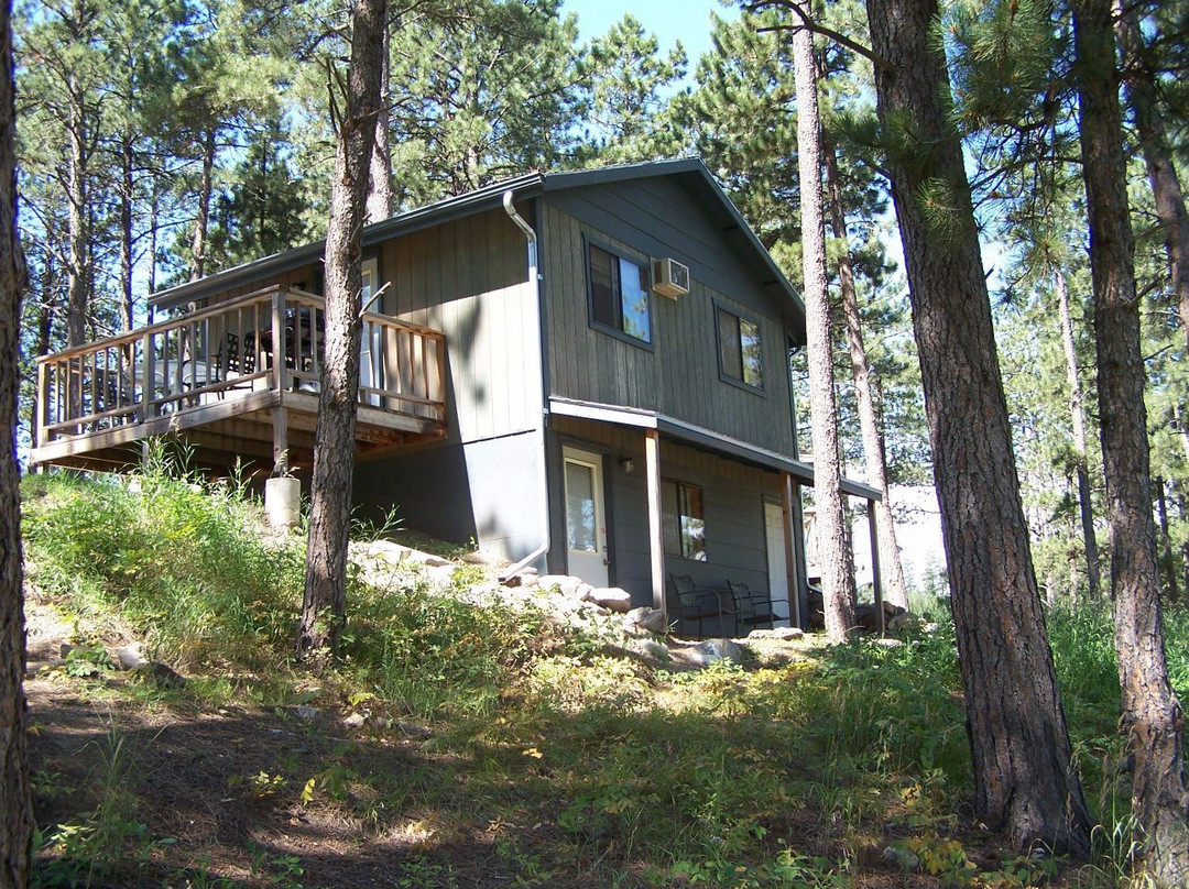 Mountain View Lodge & Cabins主图