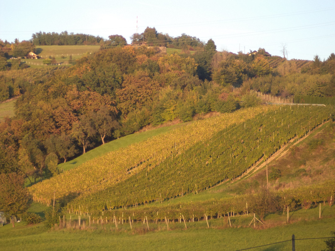 Malecnik旅游攻略图片