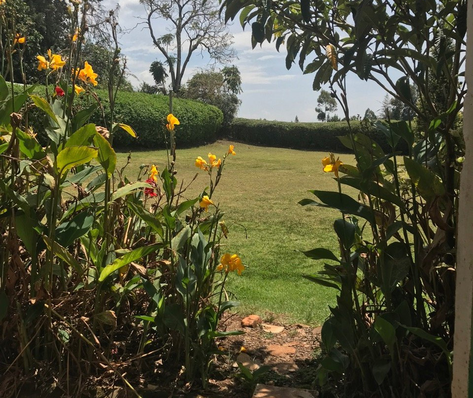 Rays Place Inn主图