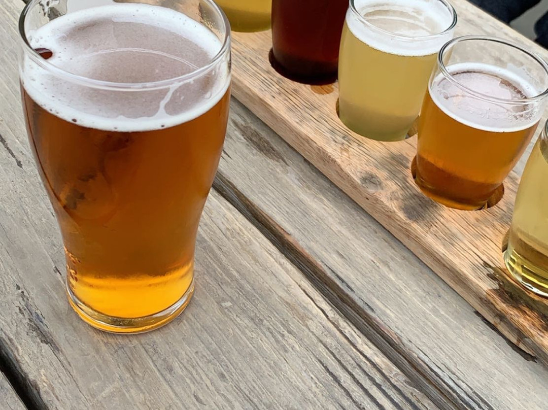 Berryessa Brewing Company-Winters必去景点