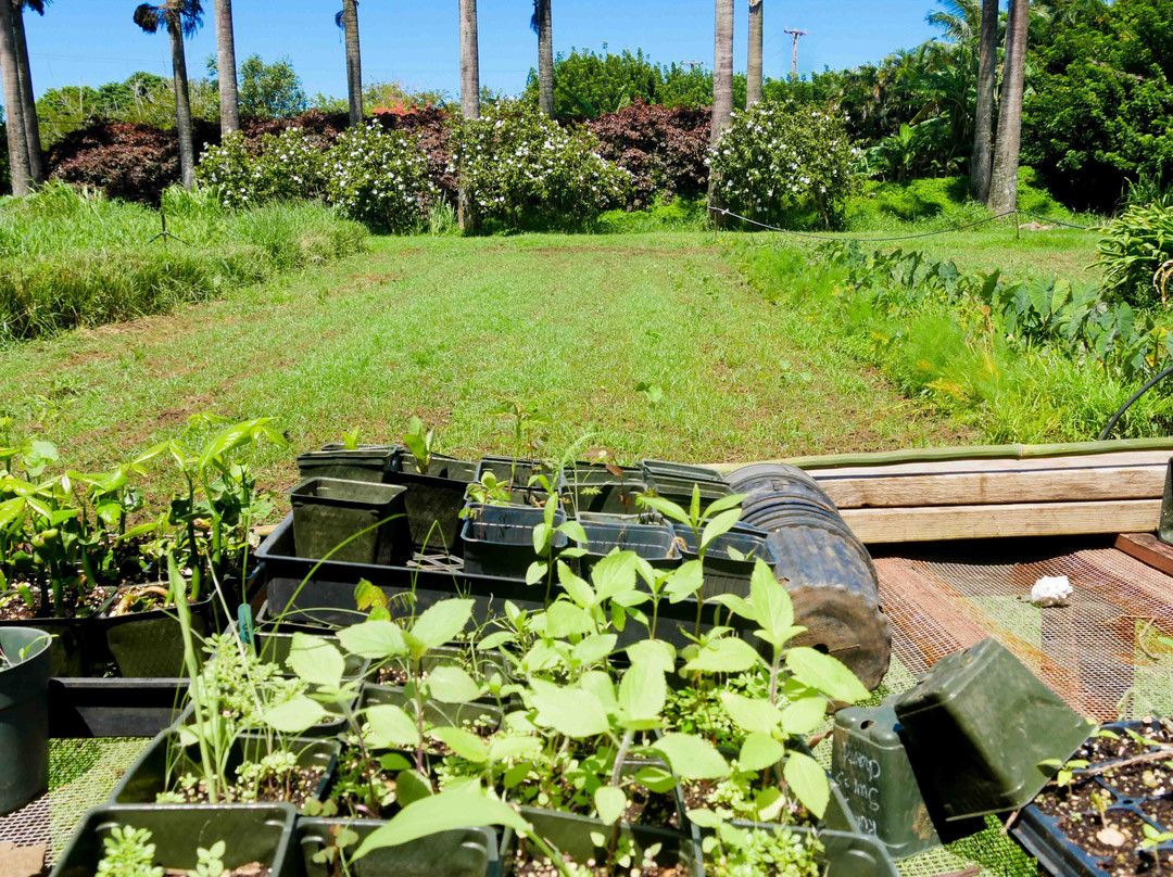Hale Akua Garden Farm-海库必去景点