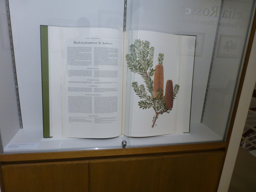 Hamilton Gallery-哈密尔顿必去景点