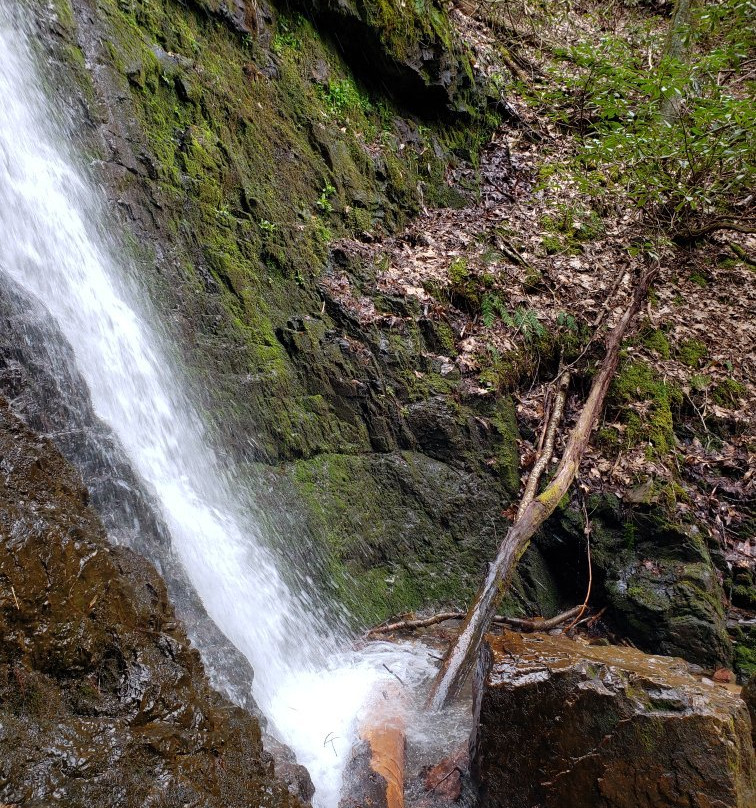 Backbone Rock Waterfall景点图片