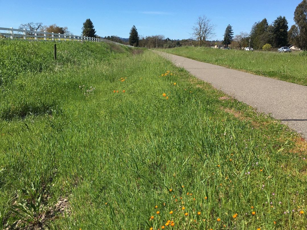 Joe Rodota Trail at Sonoma County Parks景点图片