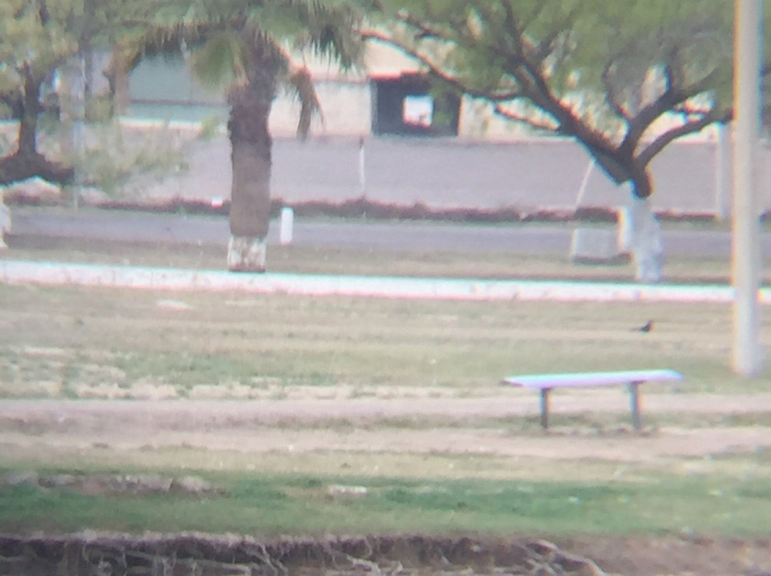 Maverick County Lake-Eagle Pass必去景点