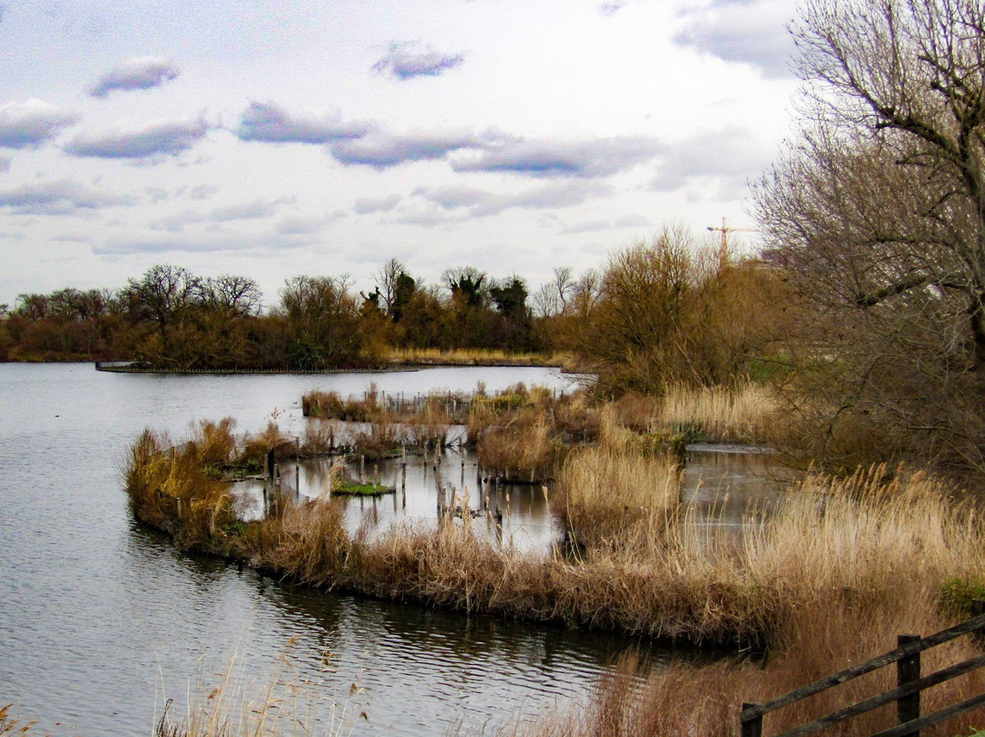 Walthamstow Wetlands-伦敦必去景点