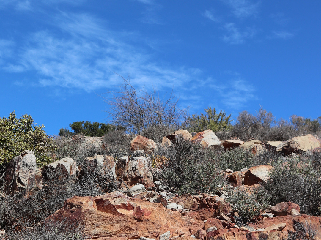 Rooiberg Pass-Calitzdorp必去景点