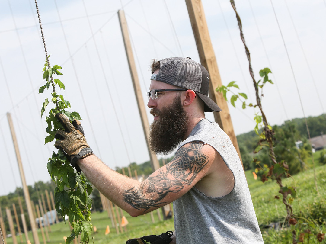 Manor Hill Brewing-埃利科特城必去景点