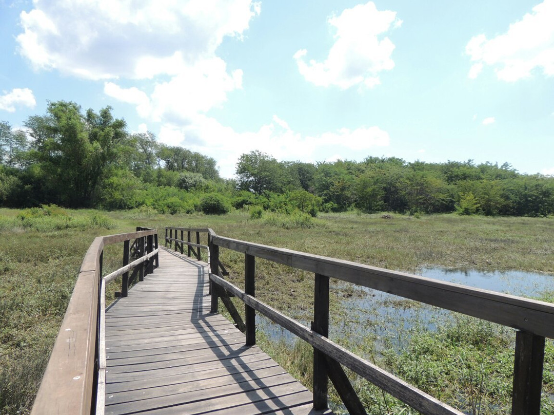 Reserva Natural del Pilar景点图片