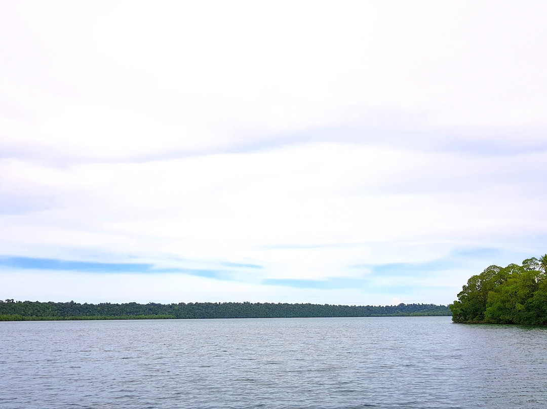 Sting-less Jellyfish Lake-Pulau Kakaban必去景点