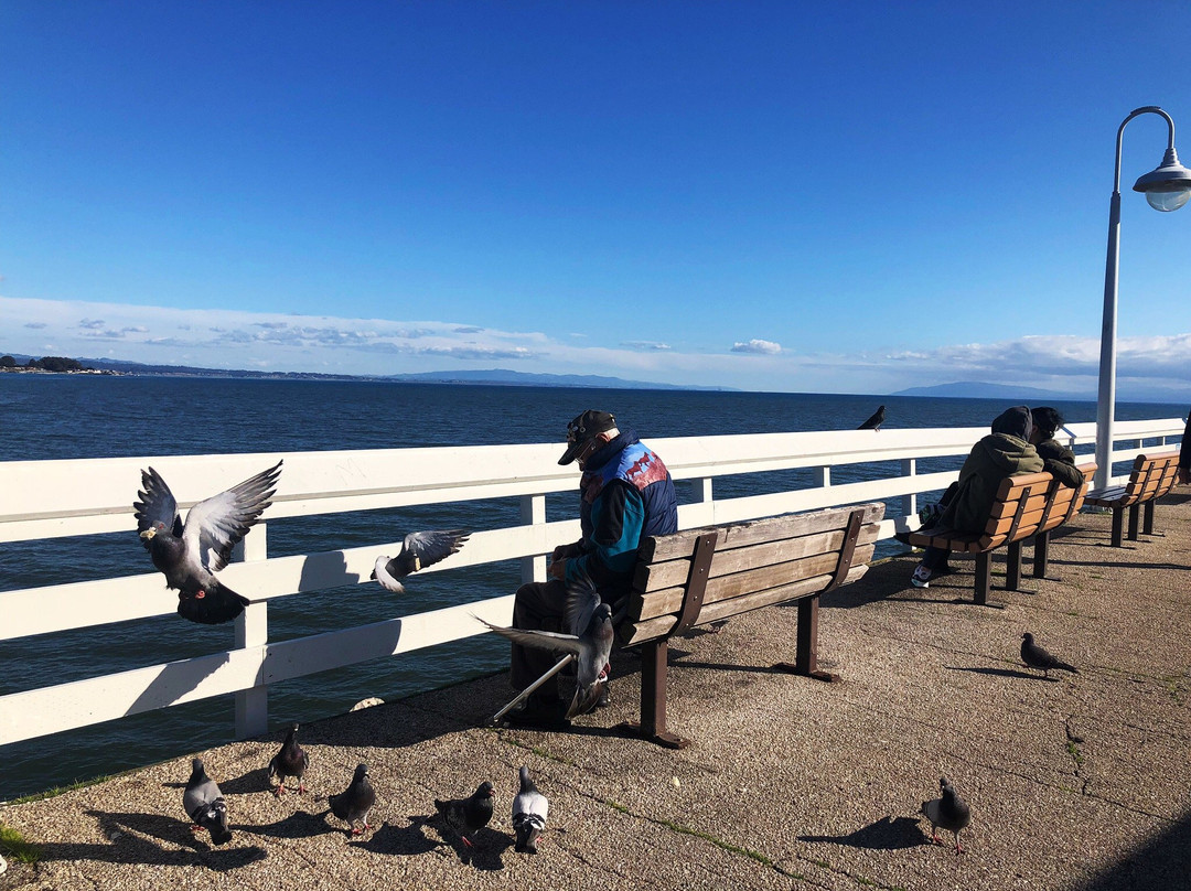 Santa Cruz Harbor Beach-圣克鲁斯必去景点