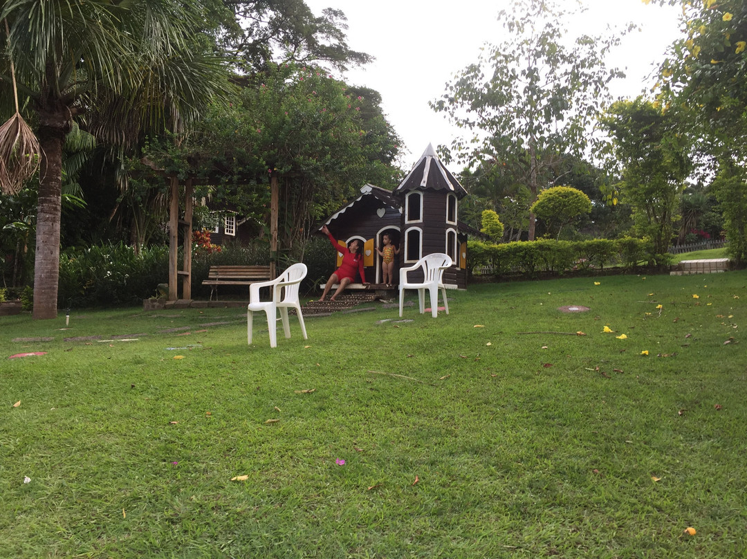 Cacoal Selva Park Hotel主图