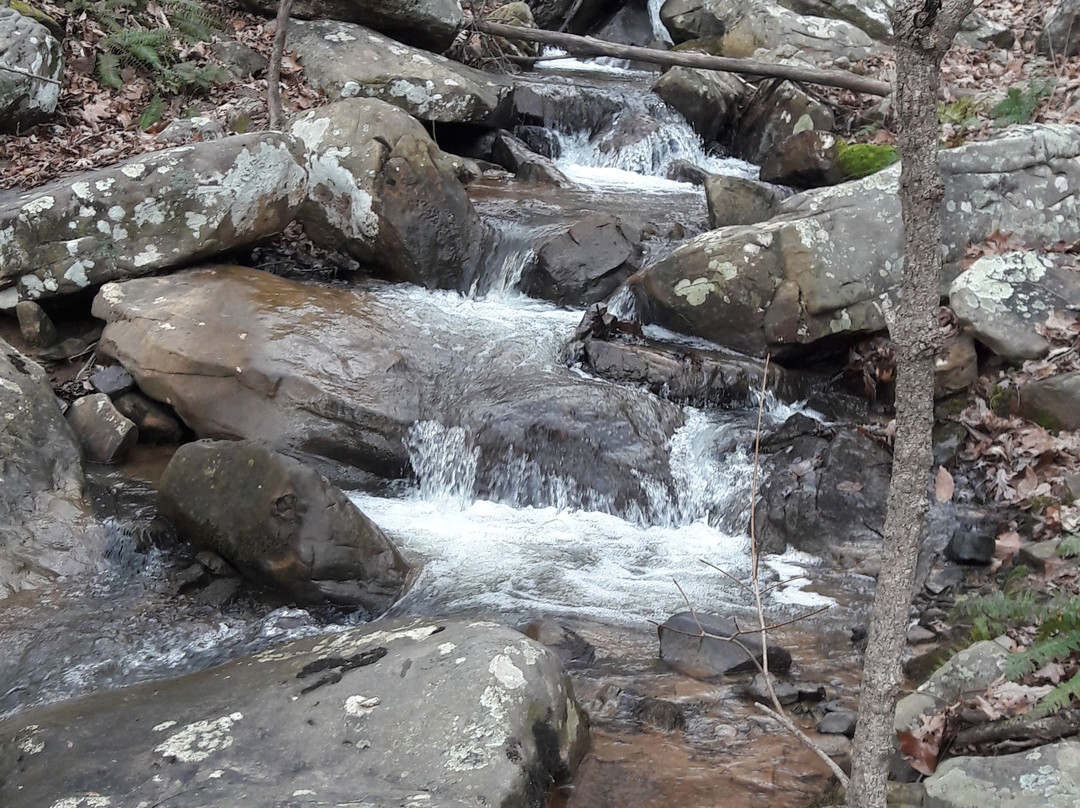 Land Trust of North Alabama景点图片