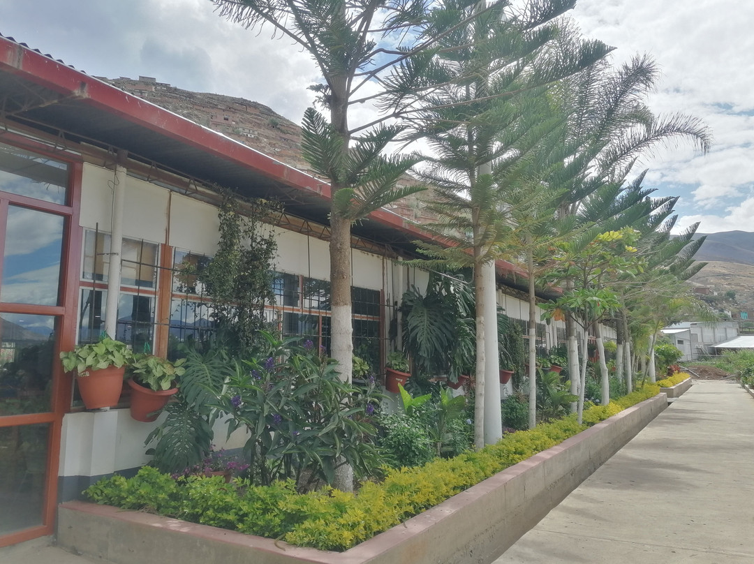 Tradiciones Huanuquenas