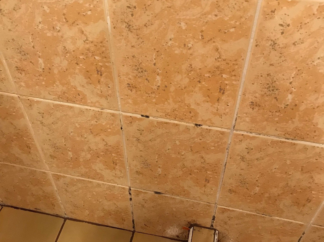 维塔公园酒店主图