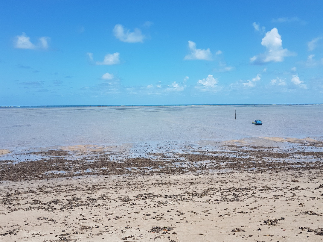 Pousada Patacho主图