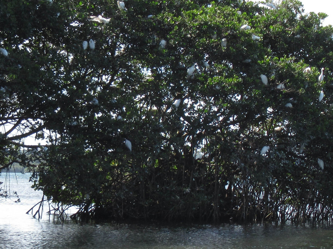 Clarisma Tour-Petit-Canal必去景点