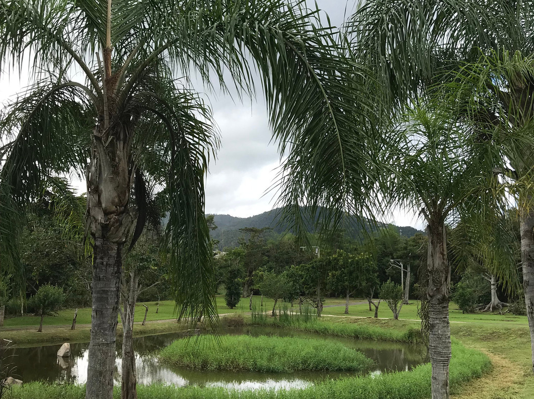 Jardin Botanico y Cultural William Miranda Marin景点图片