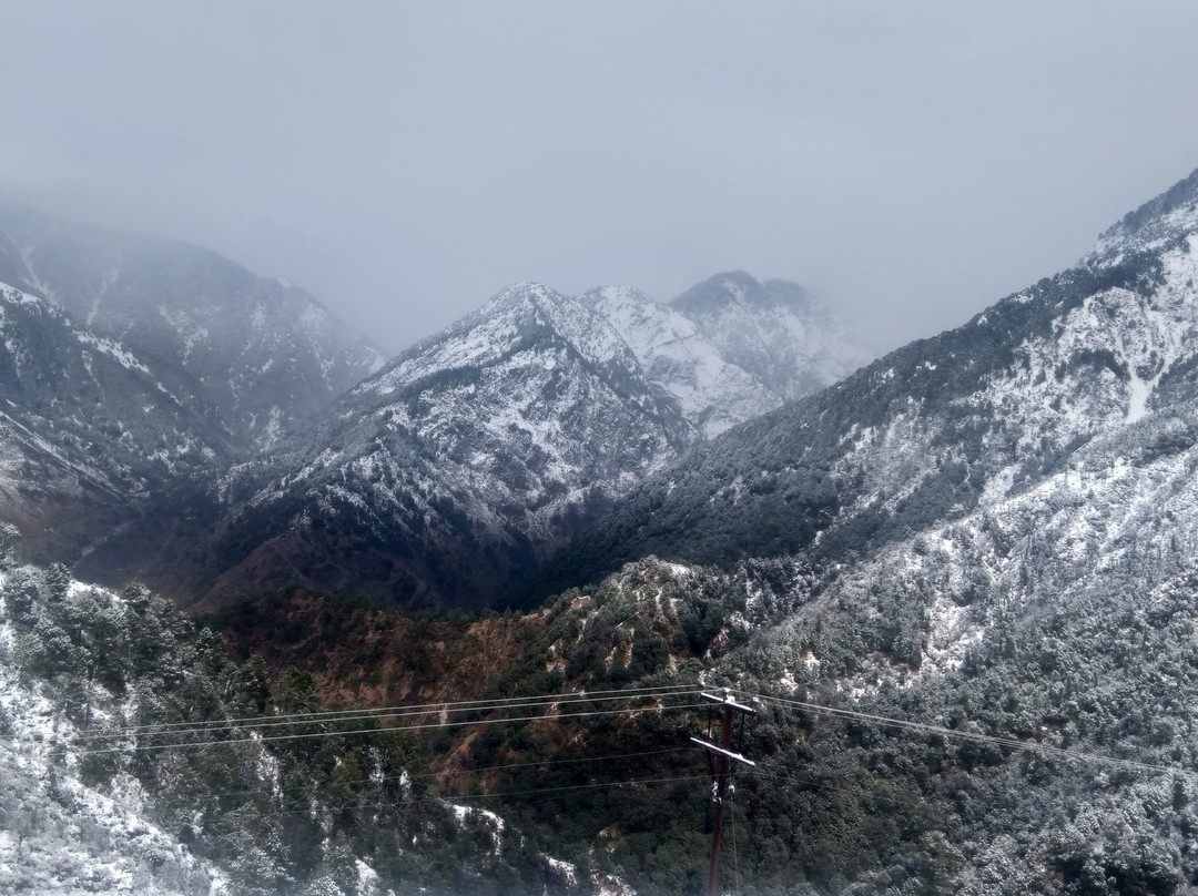 Dragon I Resorts Pvt Ltd主图