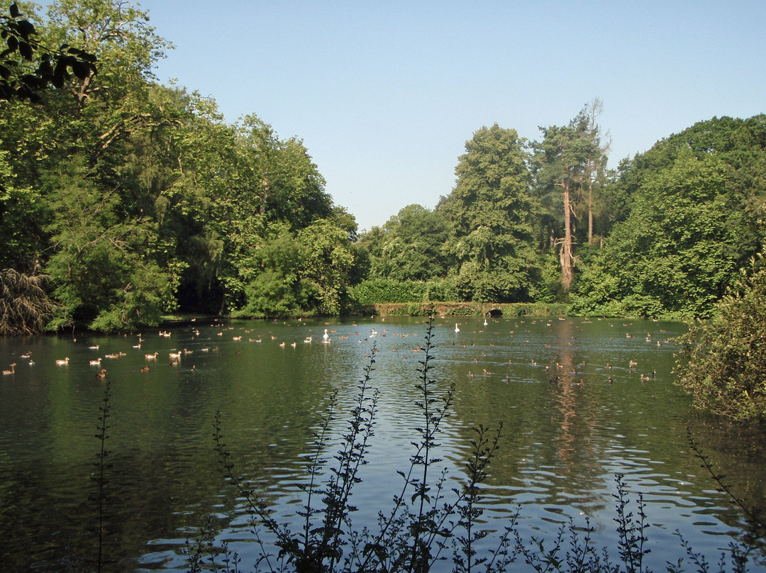 Busbridge Lakes景点图片