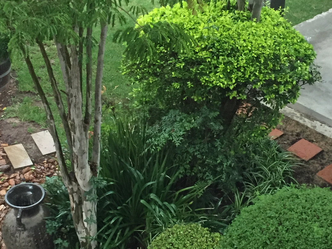 Leeuwenhof Guesthouse主图