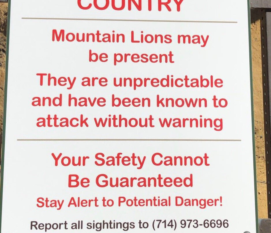 Black Star Canyon Trail-橘子郡必去景点