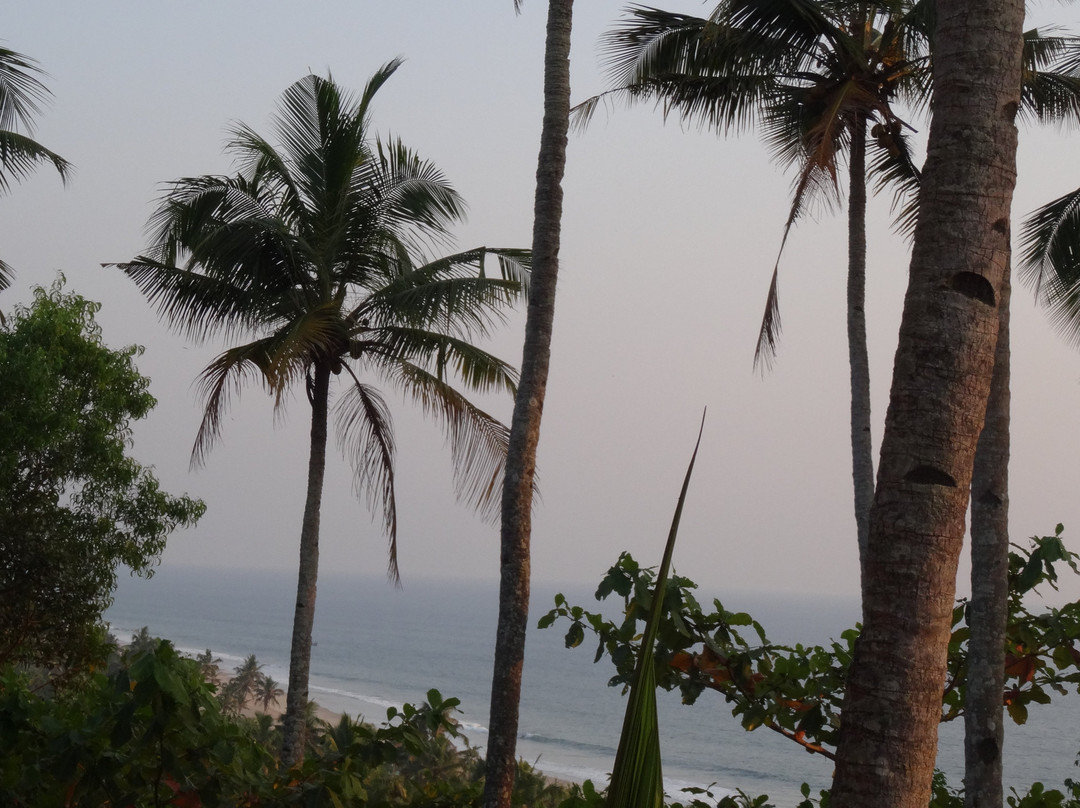 Blooming Bay - Clifftop Beach Resort主图