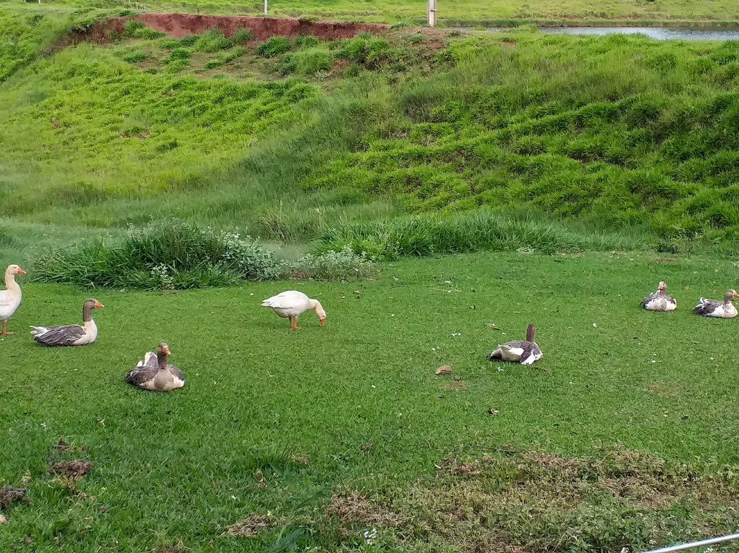 Fazenda Hotel Vale Verde主图